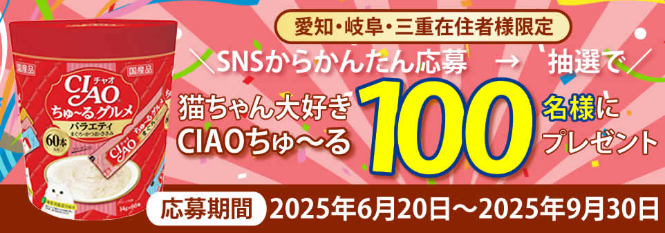 猫ホテル bellオープン記念キャンペーン